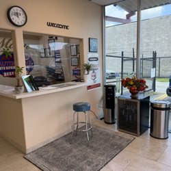 Mann Automotive