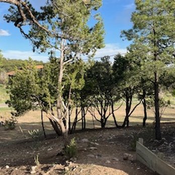 Roberts Tree Service - shaping landscape - Tree Services Near Me - Albuquerque, New Mexico