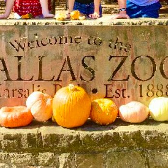 Dallas Zoo - Entrance - Zoos Near Me - Dallas, Texas