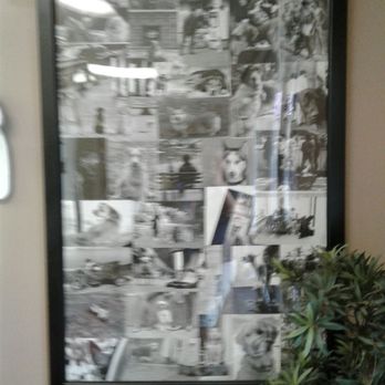 Ronnie's Pride and Groom - Pet Groomers Near Me - Tampa, Florida Ronnie's Pride and Groom - Pet Groomers Near Me - Tampa, Florida