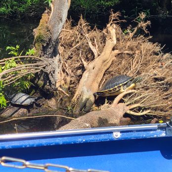 Sea Serpent Tour - Boat Tours Near Me - Saint Augustine, Florida