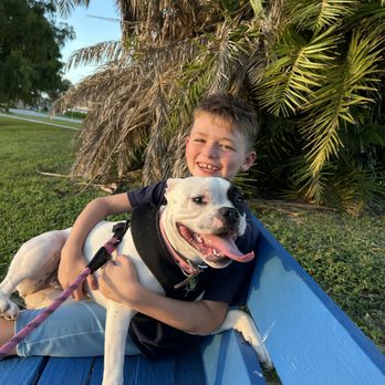 Your Best Paw Forward - Pet Training Near Me Your Best Paw Forward - Pet Training Near Me
