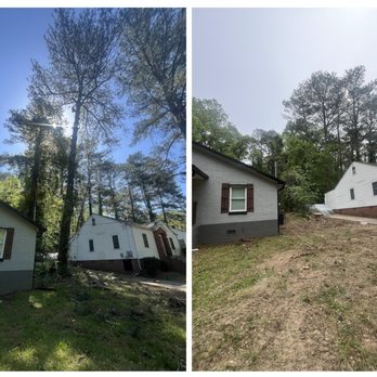 Economical Tree Service - Pine Tree Removal - Tree Services Near Me - Houston, Texas Economical Tree Service - Pine Tree Removal - Tree Services Near Me - Houston, Texas