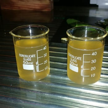 The Chemist - Green tea shooter...tasty - Breakfast & Brunch Near Me - Myrtle Beach, South Carolina The Chemist - Green tea shooter...tasty - Breakfast & Brunch Near Me - Myrtle Beach, South Carolina