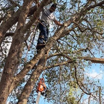 AR Tree Service - Tree Services Near Me AR Tree Service - Tree Services Near Me