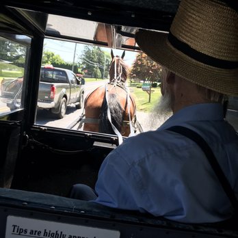 Abe's Buggy Rides - Buggy ride - Tours Near Me - Bird In Hand, Pennsylvania