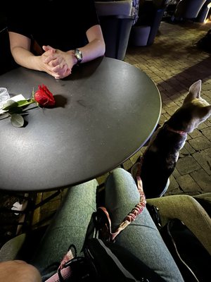 PUCCI Café by null
