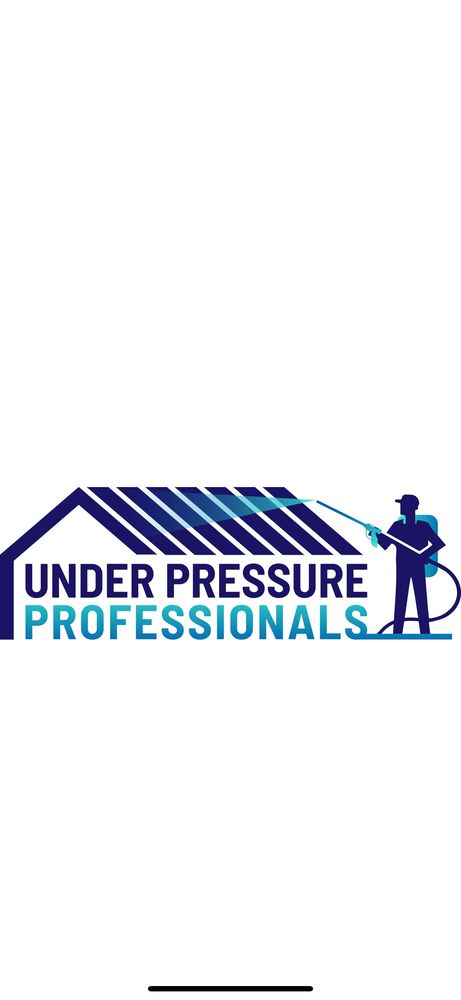 Slide of Under Pressure Professionals