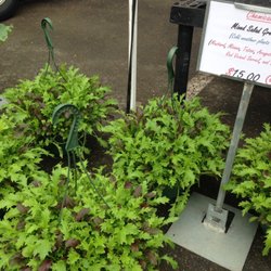 Wakefield Farmers Market