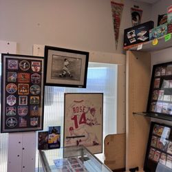 Venice Sports Cards & Collectible