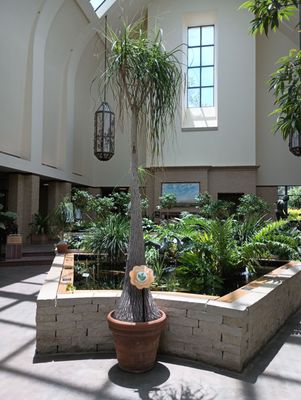 Lauritzen Gardens by null