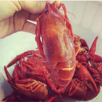 Lawrenceville Seafoods - Yum! Crawfish. - Seafood Markets Near Me - Lawrenceville, Georgia Lawrenceville Seafoods - Yum! Crawfish. - Seafood Markets Near Me - Lawrenceville, Georgia
