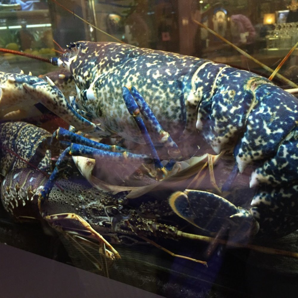 Civera - Seafood Near Me - Valencia, V