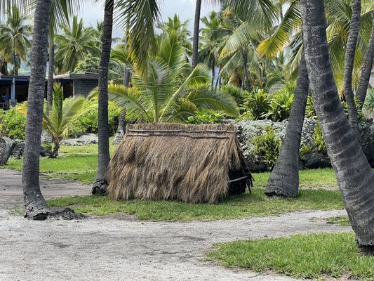 Pu'uhonua O Honaunau National Historical Park by null