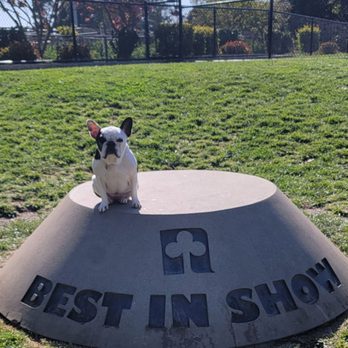 Newbark Dog Park - Best spot for a photo op - Dog Parks Near Me - Newark, California Newbark Dog Park - Best spot for a photo op - Dog Parks Near Me - Newark, California