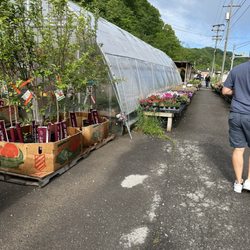 Lavale Farm and Flower Heaven
