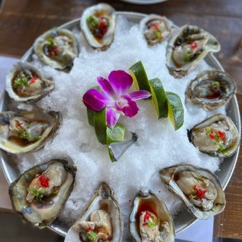 Shorebird - Oysters - Breakfast & Brunch Near Me - Sedona, Arizona Shorebird - Oysters - Breakfast & Brunch Near Me - Sedona, Arizona