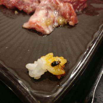 Piggy's Island - There's the bug in my rice. You can also see how the cut of meat looked like. - Korean Near Me - Thornhill, Ontario Piggy's Island - There's the bug in my rice. You can also see how the cut of meat looked like. - Korean Near Me - Thornhill, Ontario