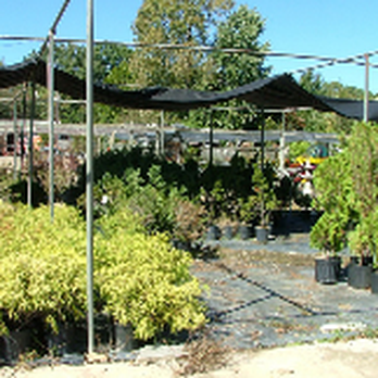 Giarolis Nursery Landscaping - a variety of plants - Nurseries & Gardening Near Me - Memphis, Tennessee
