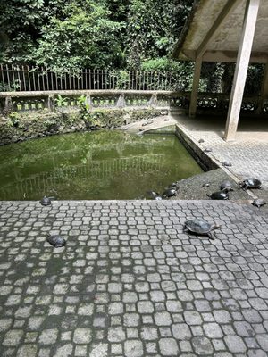 Sam Poh Tong Temple by null