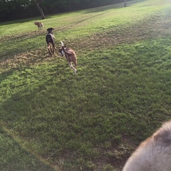 Hawaii Kai Dog Park - A trail of happy dogs. - Dog Parks Near Me - Honolulu, Hawaii
