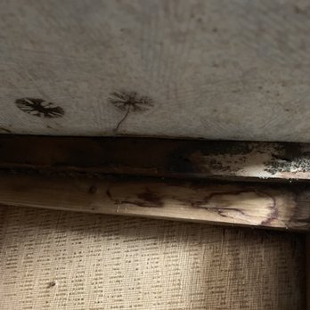 Findlay Truck And Rv - Water damaged, rotten RV cabinets. - RV Dealers Near Me - Findlay, Ohio Findlay Truck And Rv - Water damaged, rotten RV cabinets. - RV Dealers Near Me - Findlay, Ohio