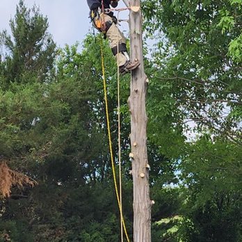 Wolverine Arbor Services - Tree Services Near Me Wolverine Arbor Services - Tree Services Near Me