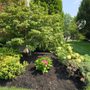 Photo of Wilson Loyalty Landscaping Services