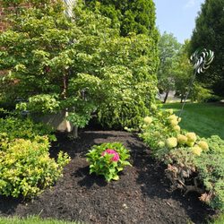 Wilson Loyalty Landscaping Services