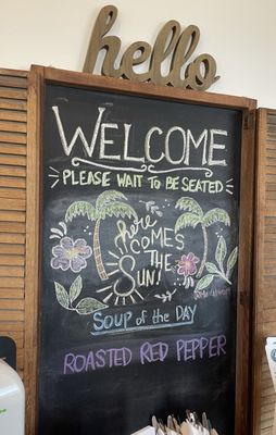 The Backyard by null