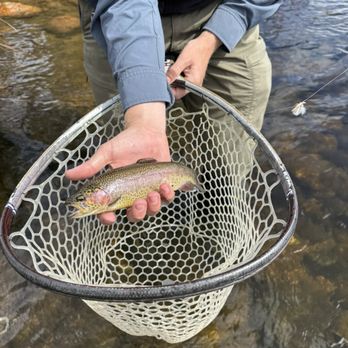 Front Range Anglers - Trout - Outdoor Gear Near Me - Boulder, Colorado Front Range Anglers - Trout - Outdoor Gear Near Me - Boulder, Colorado