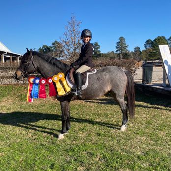 Arrow A Farms - Horseback Riding Near Me - Conroe, Texas Arrow A Farms - Horseback Riding Near Me - Conroe, Texas