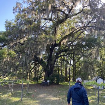 Outside Savannah - Captain Ryan explaining what an "angel oak tree" was. - Boat Tours Near Me - Savannah, Georgia Outside Savannah - Captain Ryan explaining what an "angel oak tree" was. - Boat Tours Near Me - Savannah, Georgia