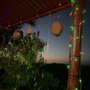 Photo of LAS CAZUELAS