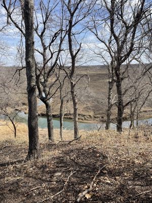 Joseph H. Williams Tallgrass Prairie Preserve by null