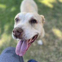 Robert White Park - Precious fur baby