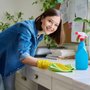 VesCo Residential Cleaning
