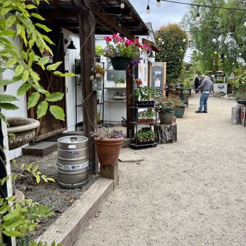 Birchwood Nipomo - a gravel path lined with potted plants - Nurseries & Gardening Near Me - Nipomo, California