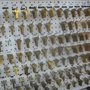 Photo of Astro Locks