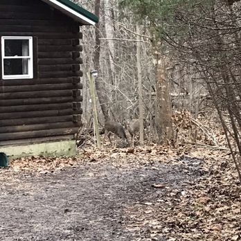 Getaway Cabins - Vacation Rentals Near Me - South Bloomingville, Ohio Getaway Cabins - Vacation Rentals Near Me - South Bloomingville, Ohio