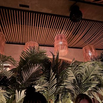 Costera Cocina Tulum - Chicago - Mexican Near Me - Chicago, Illinois