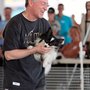 Photo of Bow - Wow Dog Training