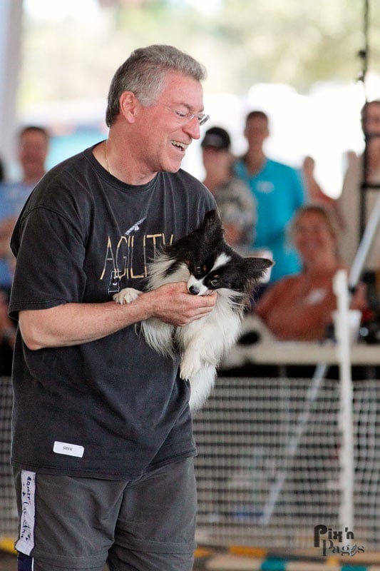 Bow - Wow Dog Training Image