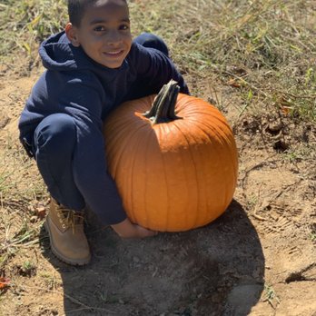 Conklin Farm U-Pick - Pumpkin Patches Near Me - Montville, New Jersey