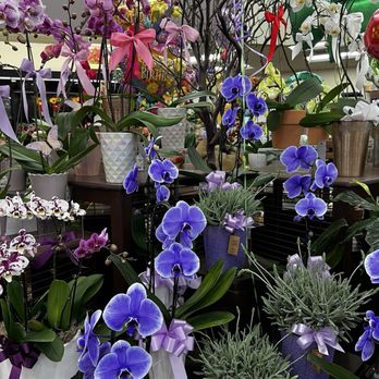 Vons - Beautiful flowers - Grocery Near Me - San Diego, California Vons - Beautiful flowers - Grocery Near Me - San Diego, California