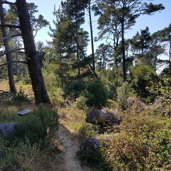 San Simeon Creek Trail - Hiking Near Me - Cambria, California