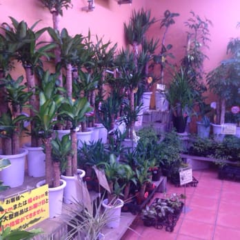 花いちばアズガーデン 11 Photos 大字三本木字金久48 海部郡 大治町 愛知県 Japan Yelp