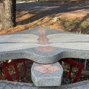 Willapa National Wildlife Refuge - Dragonfly bench - Parks Near Me - Ilwaco, Washington