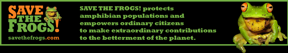 Slide of Mallard Systems