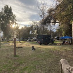 Lindy's Landing Campground - Site 13